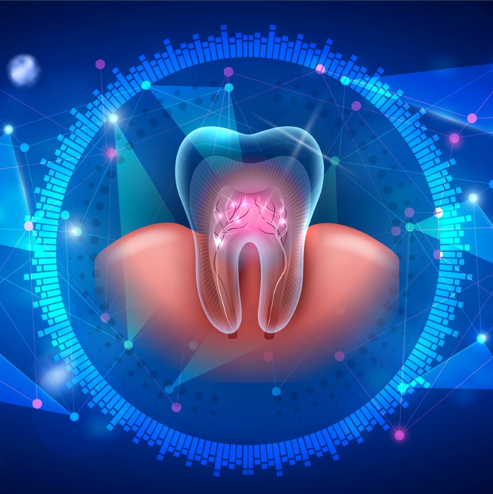 service-oral-surgery-dentist-wetherill-park Digital 3D illustration of a tooth and gum with nerves highlighted – symbolising oral surgery precision in Wetherill Park.