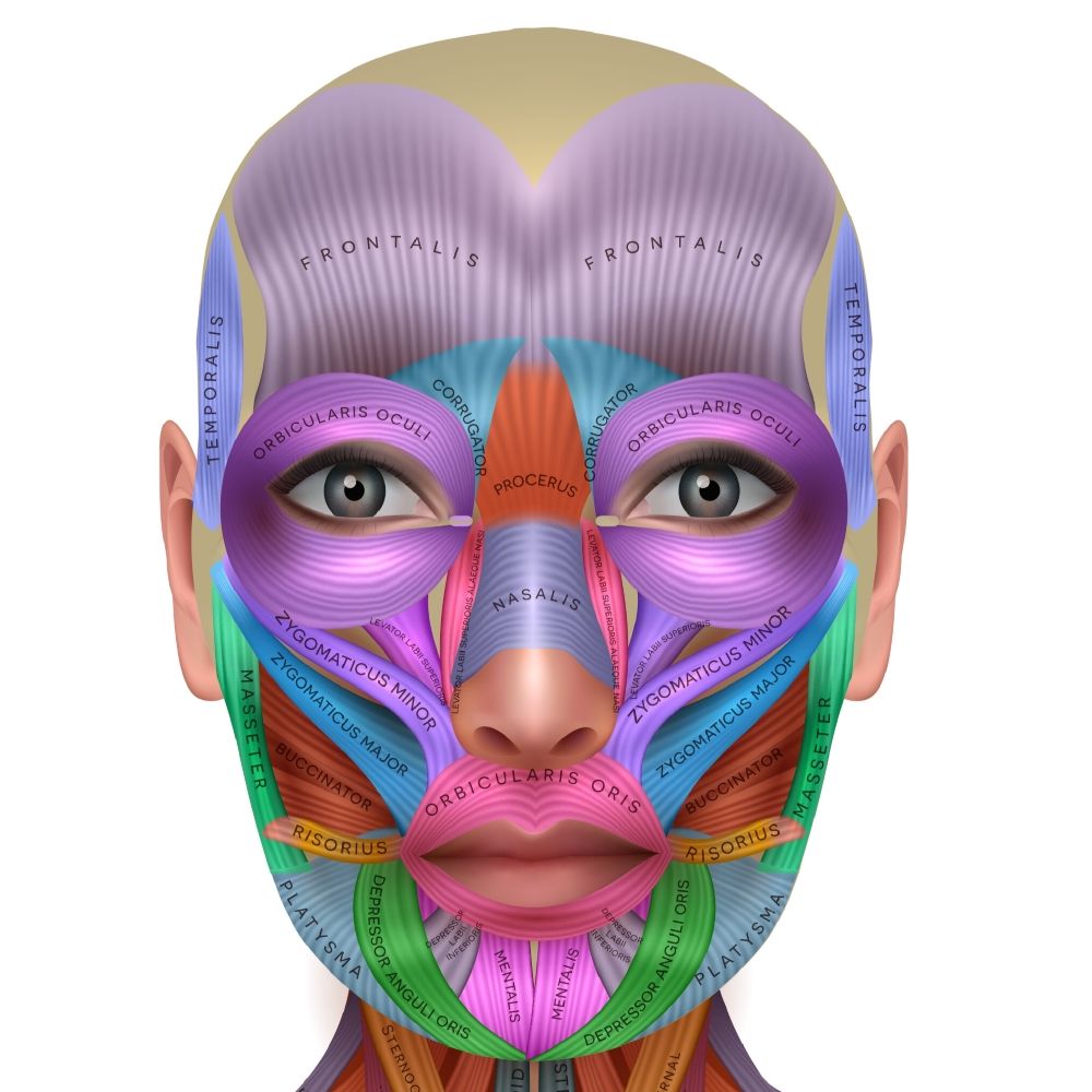 Patient smiling while checking teeth after a dental exam in Wetherill Park at Dr Raymond Platon & Associates.