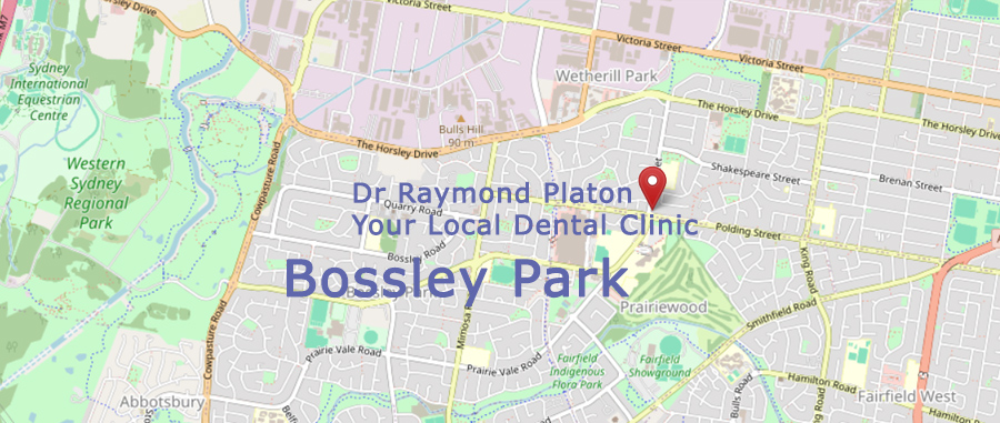 Map showing Dr Raymond Platon's dental clinic is located near Bossley Park.