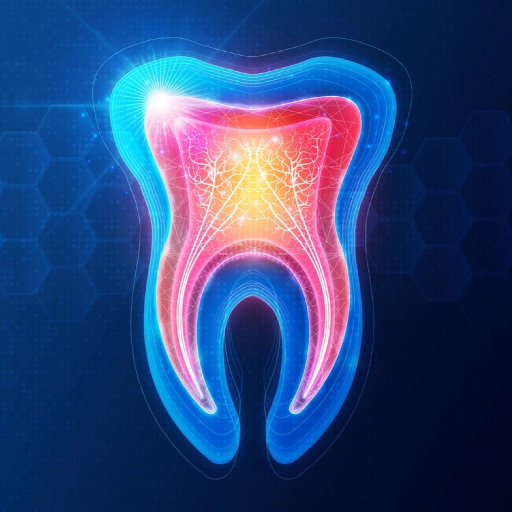 3D digital tooth illustration showing internal nerves and structure – symbolising dental emergency and tooth pain in Wetherill Park.