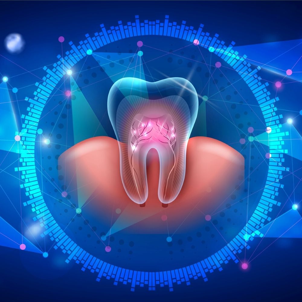 Digital 3D illustration of a tooth and gum with nerves highlighted – symbolising oral surgery precision in Wetherill Park.