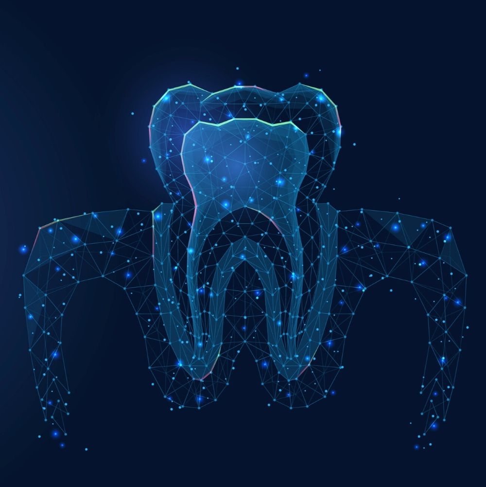 Digital illustration of a tooth root system – Periodontal and Gum Care Wetherill Park.