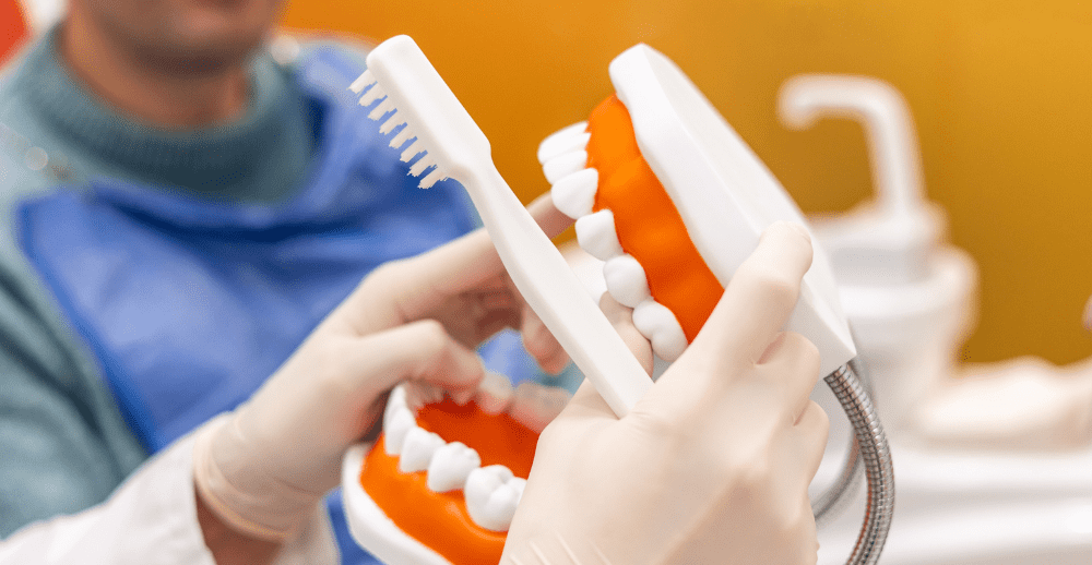 Dr Ninos Chamo explaining oral hygiene using a dental model at Dr Raymond Platon & Associates in Wetherill Park