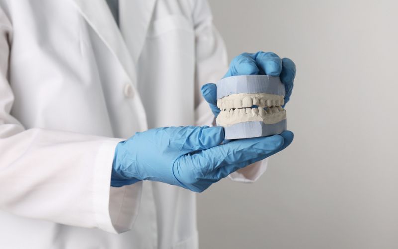 Dental professional holding a model of the upper and lower teeth
