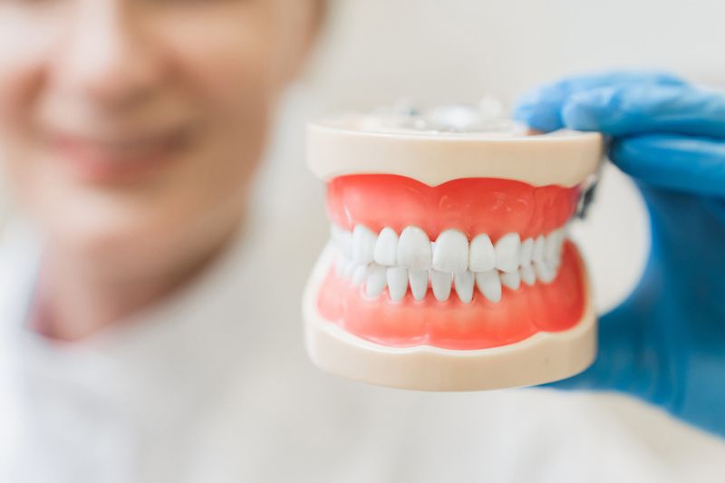 Dentist using a dental model to explain treatment options for a missing tooth in Wetherill Park