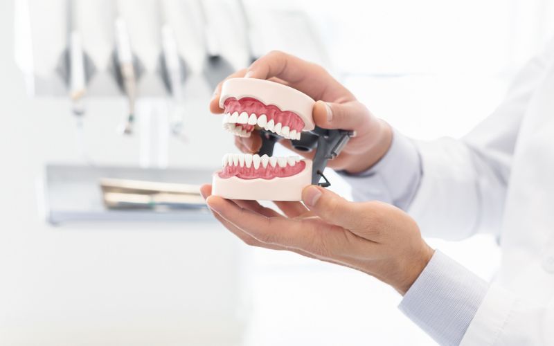 Dentist using a dental model to explain treatment options in Wetherill Park